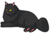 Имя: Пафнутий
 | Вид: Чёрный пушистый кот
 | Пол: М
